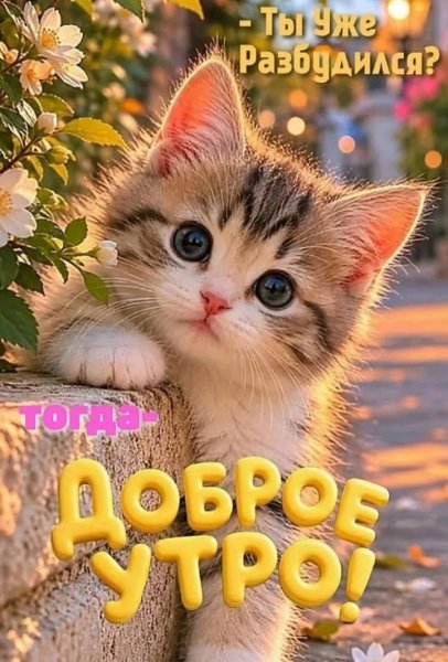 IMG 20260907 193528
