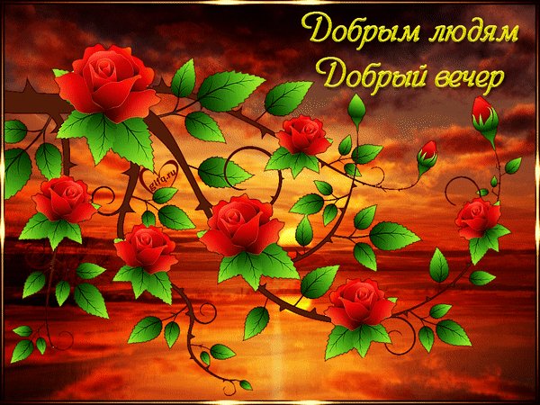 file_75136004