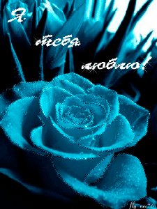 Аним. Я тебя люблю. 5с.