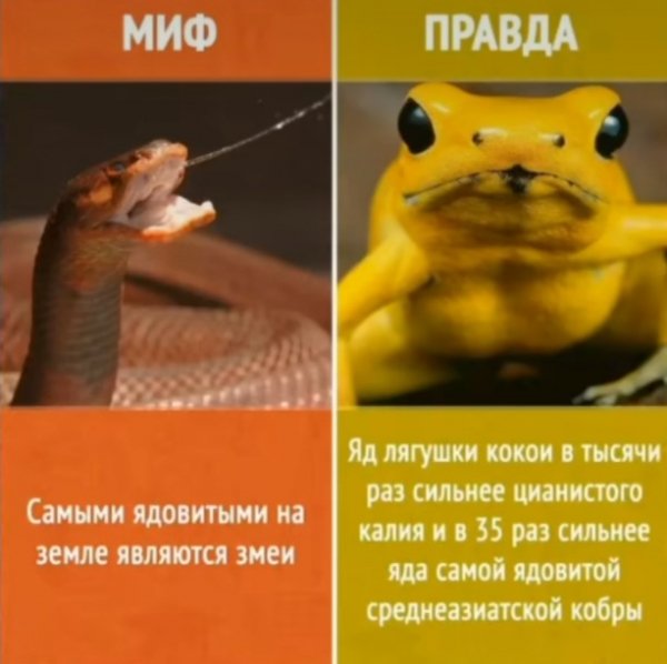 file_99628581