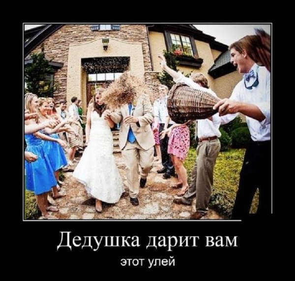 Дедушка дарит вам этот улей...
