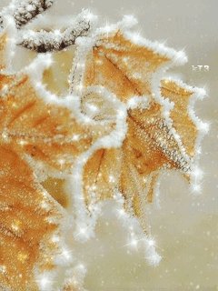 file_65362894