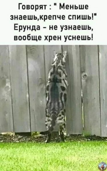 x500