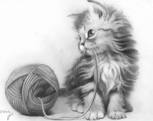 Мяуканье домашней кошки