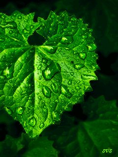 file_9338282
