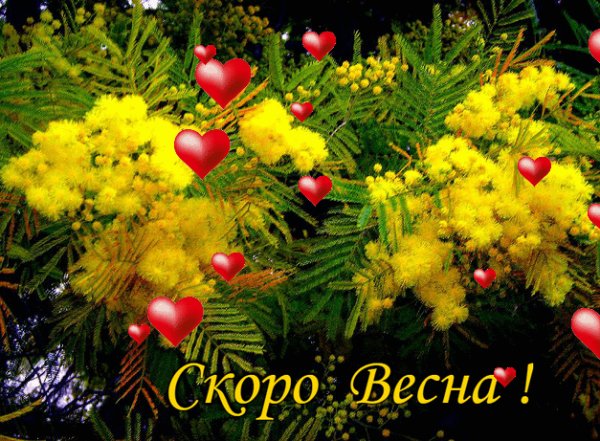 file_76584350