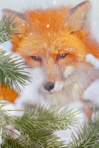 file_54526763