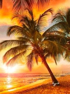 file_51631310