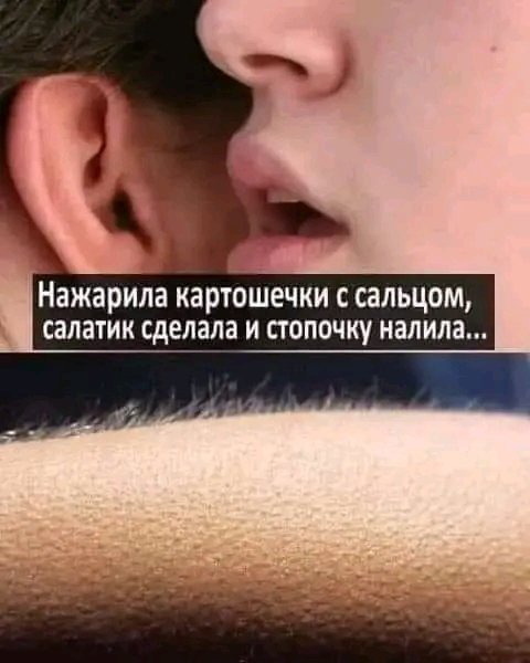 FB IMG 16747523012622366