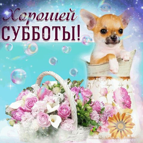 file_90455583