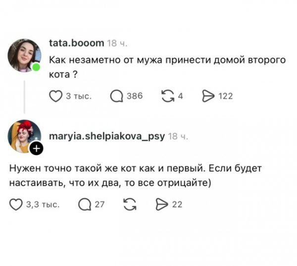 file_102501531