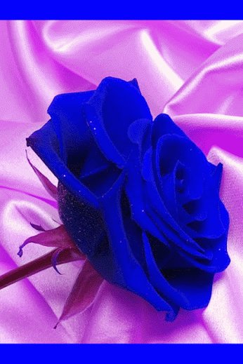 9a570a6705db1834f3793346f6d1dd7b