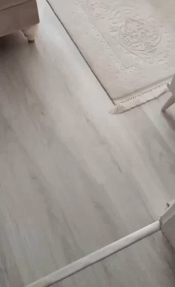 IMG 20240419 190928
