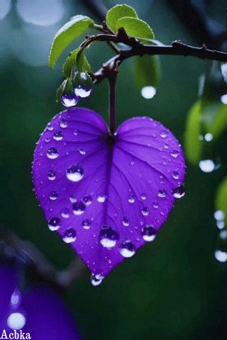 file_94782569