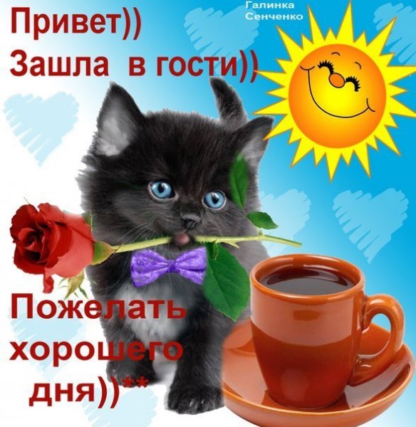 liK4sqHqWyo