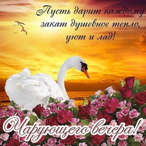 IMG 20190129 007187