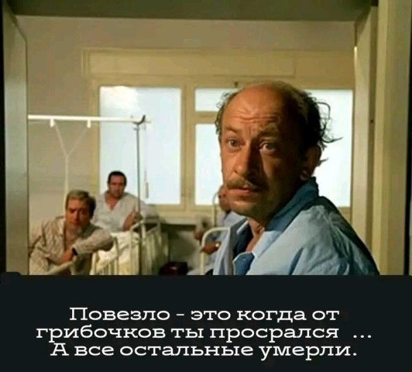 file_103478712