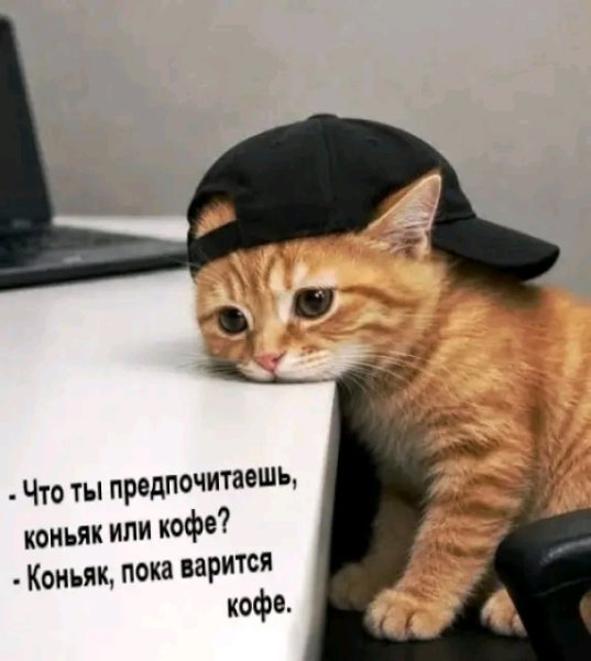 file_103381169