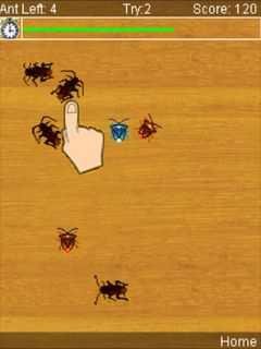clean the wood