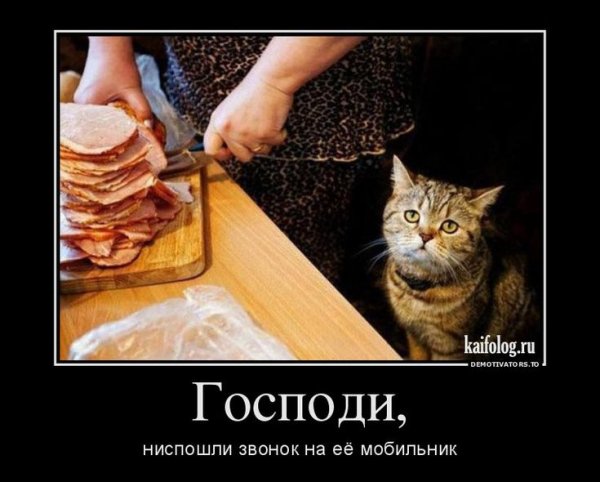 file_102770822