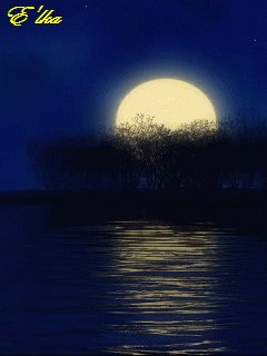 ночное море