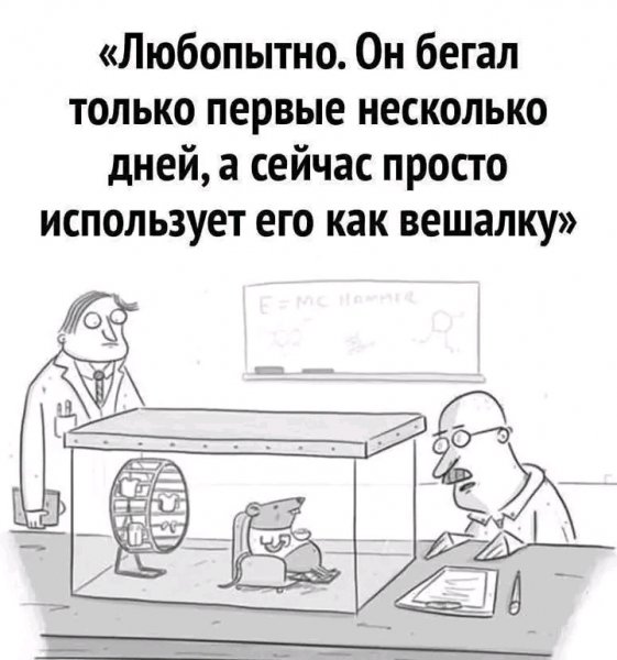 file_103412500