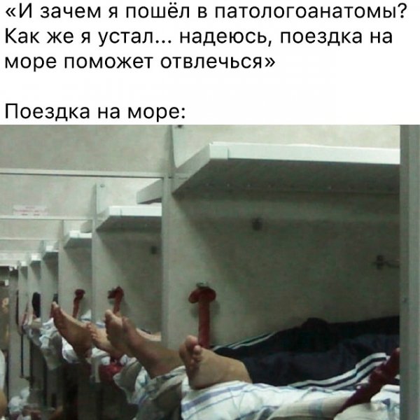 file_103280299