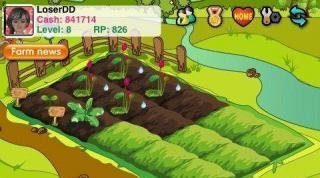 Papaya Farm