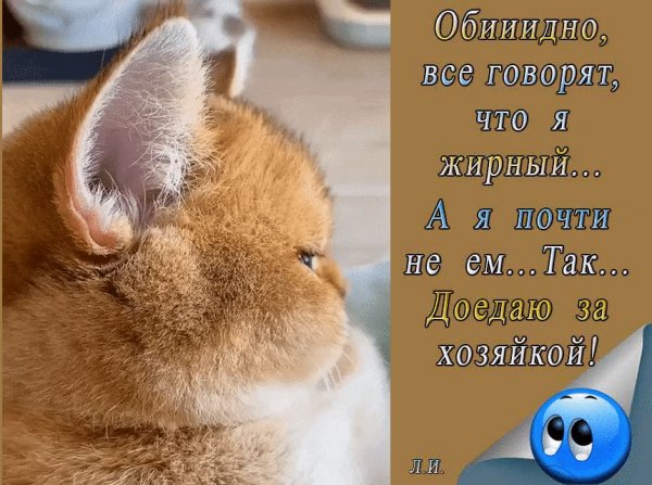 IMG 20221002 162929
