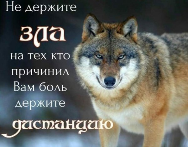 Держи дистанцию