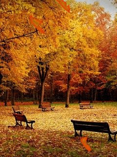file_65586383
