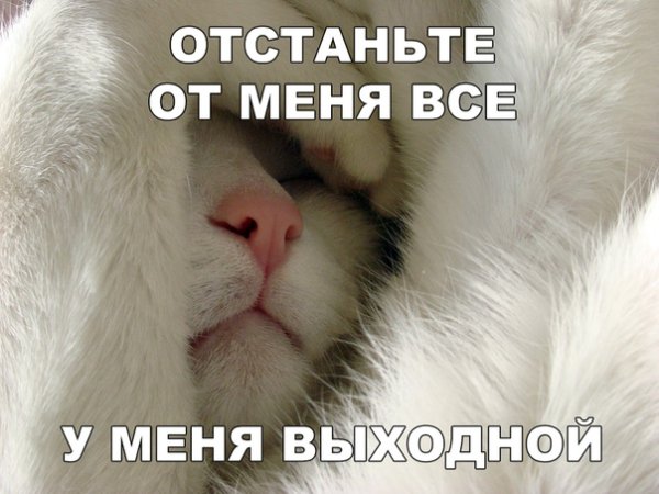 dCJxgtIF96Q
