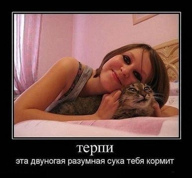 Терпи