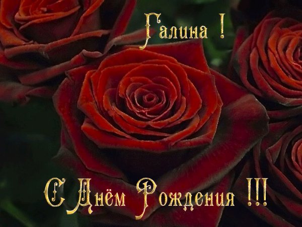97ea7260d0d0d7a13a186b941a0643ec