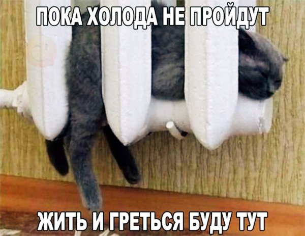 IMG 20231202 153908