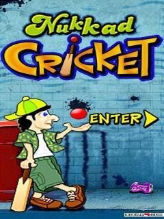 Nukkad Cricket