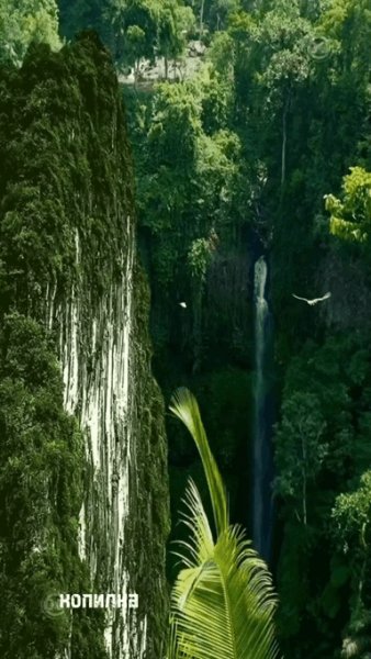 file_100989606
