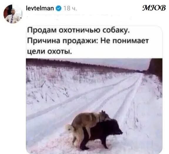 FB IMG 1778184709029