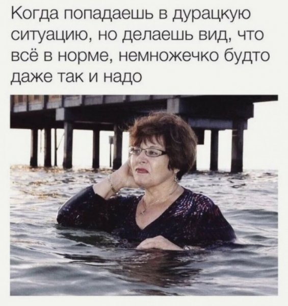 file_103378520