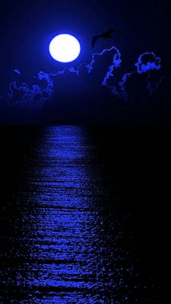 file_74796740
