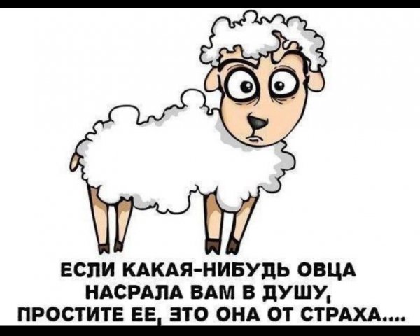 IMG 20250901 193620