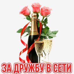 ЗА ДРУЖБУ В СЕТИ