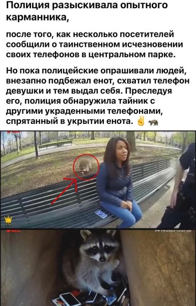 FB IMG 1774981308181