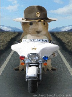 Ю Гонщик