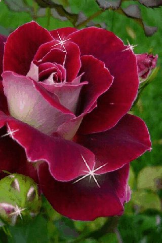 file_74305926