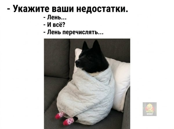 file_103305615