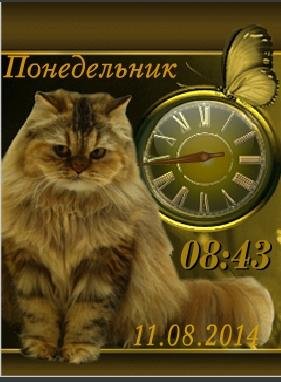 Кошечка