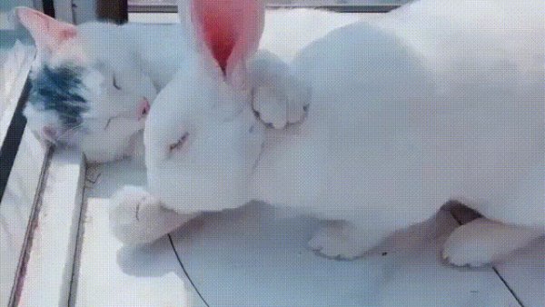 ))