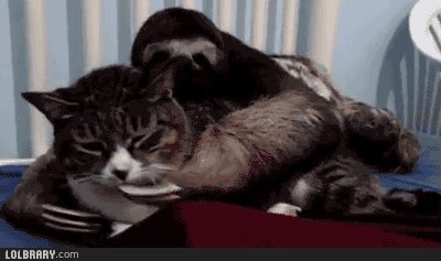 gif 1463873354