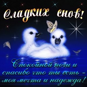 IMG 20181119 160200